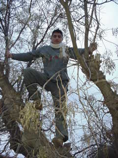 moi dans 1 arbr